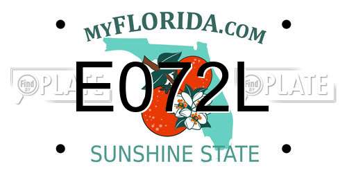 E072L Florida License Plate