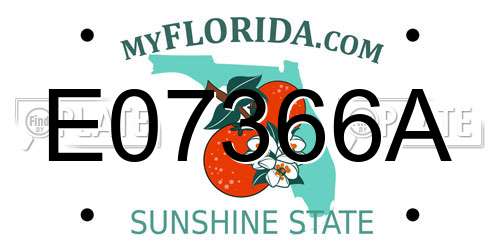 E07366A Florida License Plate