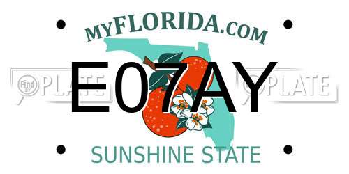 E07AY Florida License Plate
