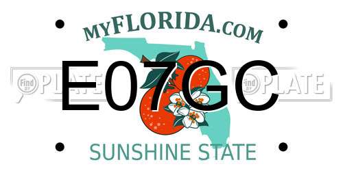 E07GC Florida License Plate