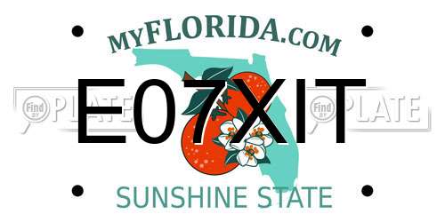 E07XIT Florida License Plate