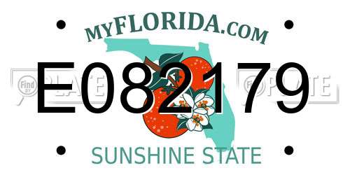E082179 Florida License Plate
