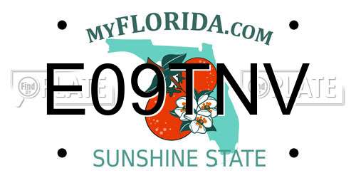 E09TNV Florida License Plate