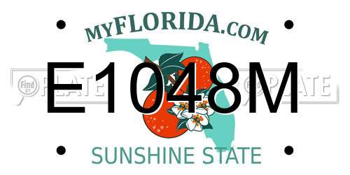 E1048M Florida License Plate