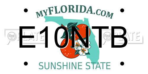 E10NTB Florida License Plate
