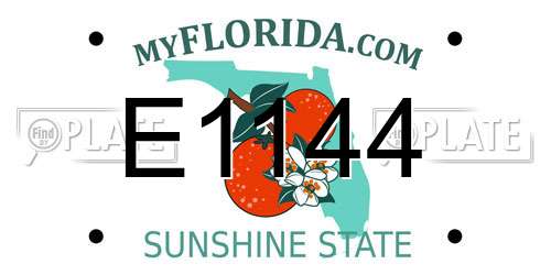E1144 Florida License Plate