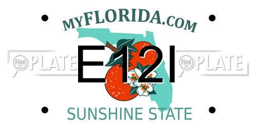 E12I Florida License Plate