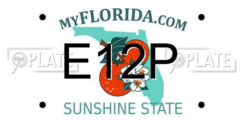 E12P Florida License Plate
