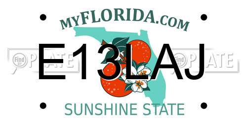 E13LAJ Florida License Plate