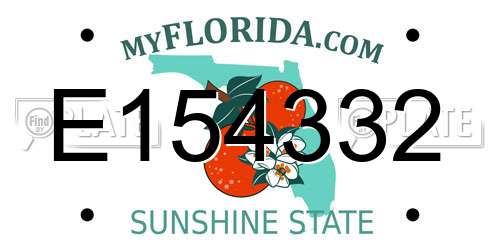 E154332 Florida License Plate