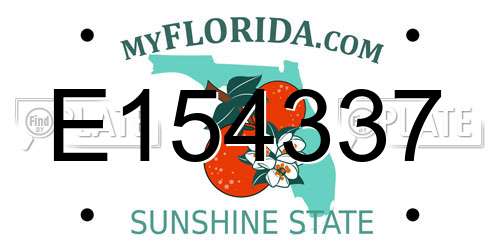 E154337 Florida License Plate