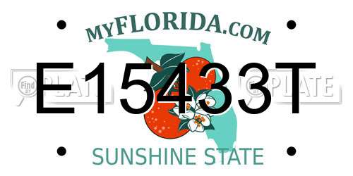 E15433T Florida License Plate