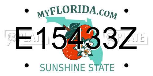 E15433Z Florida License Plate