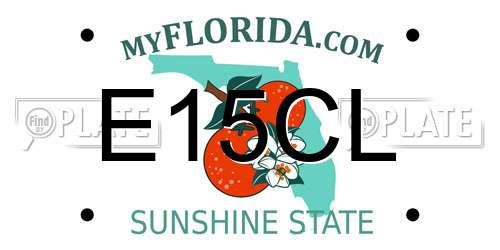 E15CL Florida License Plate