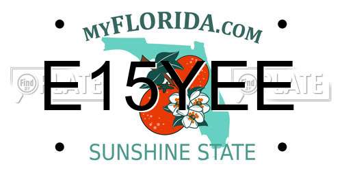 E15YEE Florida License Plate