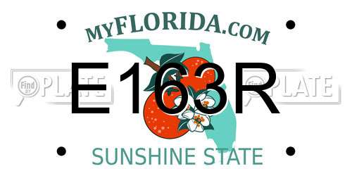 E163R Florida License Plate