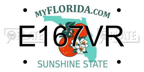 E167VR Florida License Plate