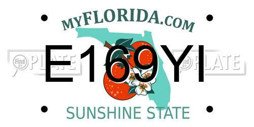 E169YI Florida License Plate