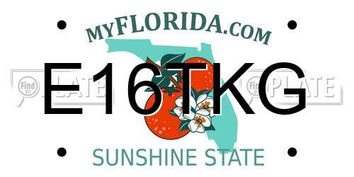 E16TKG Florida License Plate