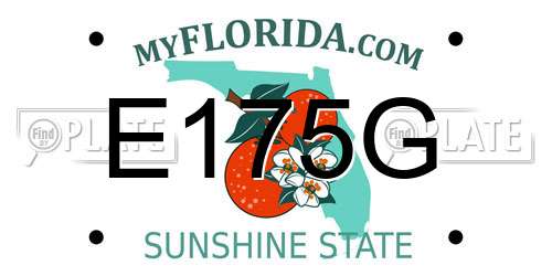 E175G Florida License Plate