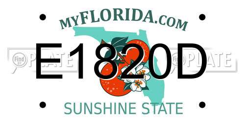 E1820D Florida License Plate