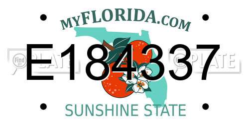 E184337 Florida License Plate