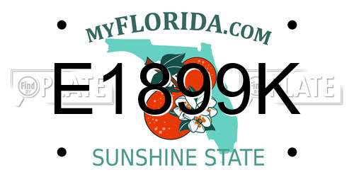 E1899K Florida License Plate