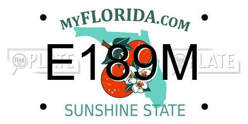 E189M Florida License Plate