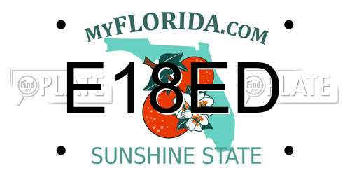 E18ED Florida License Plate