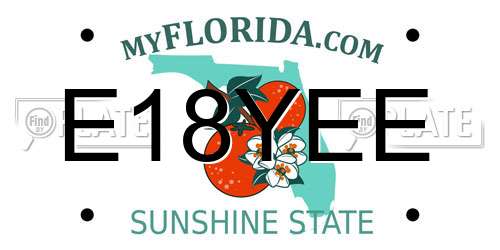 E18YEE Florida License Plate