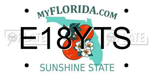 E18YTS Florida License Plate
