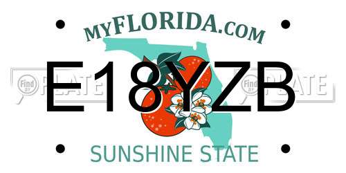 E18YZB Florida License Plate
