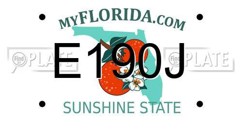 E190J Florida License Plate