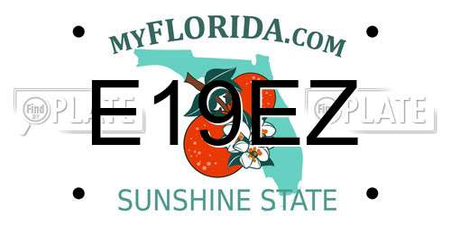 E19EZ Florida License Plate