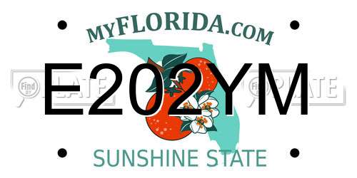 E202YM Florida License Plate