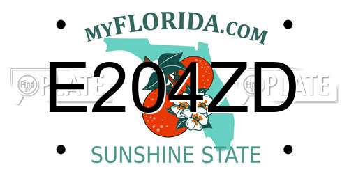 E204ZD Florida License Plate
