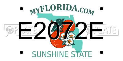 E2072E Florida License Plate
