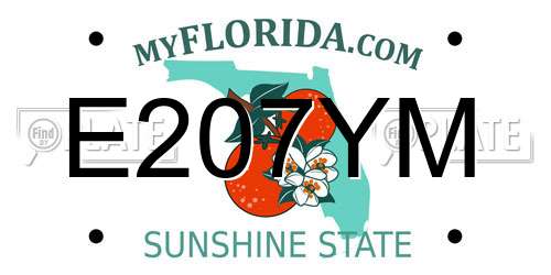 E207YM Florida License Plate