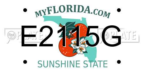 E2115G Florida License Plate