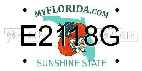 E2118G Florida License Plate