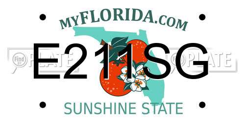 E211SG Florida License Plate