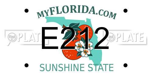 E212 Florida License Plate
