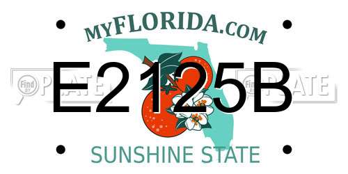 E2125B Florida License Plate