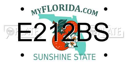 E212BS Florida License Plate