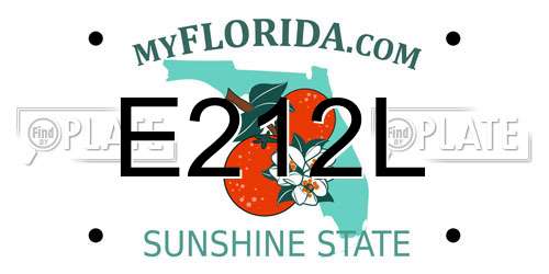 E212L Florida License Plate