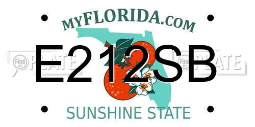 E212SB Florida License Plate