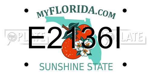 E2136I Florida License Plate
