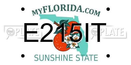 E215IT Florida License Plate