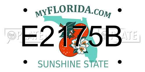 E2175B Florida License Plate