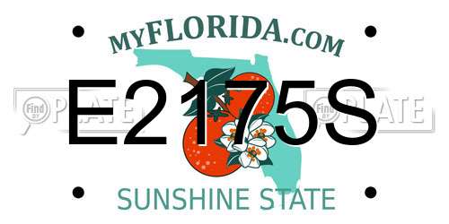 E2175S Florida License Plate